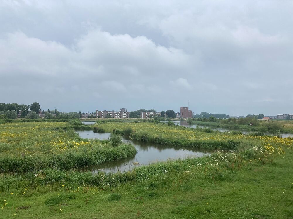 De meanderende Overijsselse Vecht tussen bloemrijke oevers in het Vechtpark bij Hardenberg