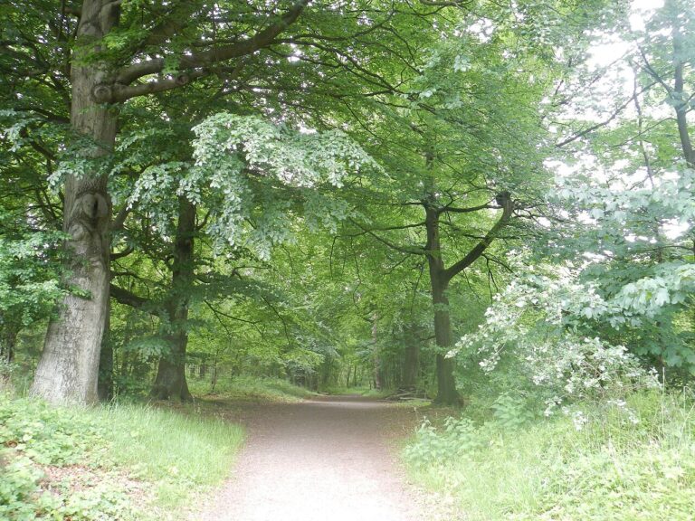 World Cleanup Day — natuur in Hardenberg